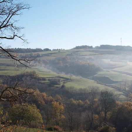 Gites Le Chene & Le Tilleul Saint-Romain-de-Lerps Exterior foto