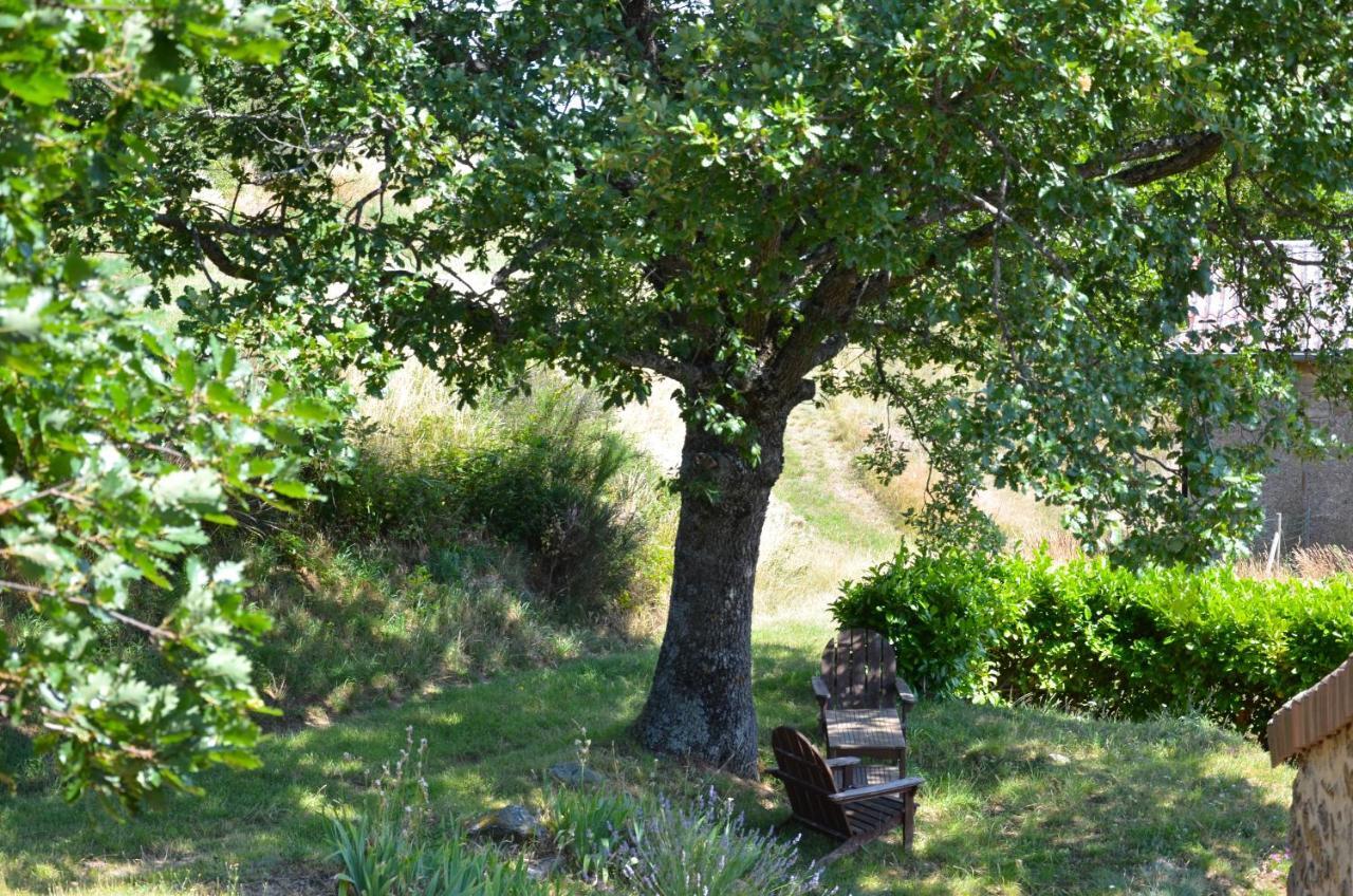 Gites Le Chene & Le Tilleul Saint-Romain-de-Lerps Habitación foto