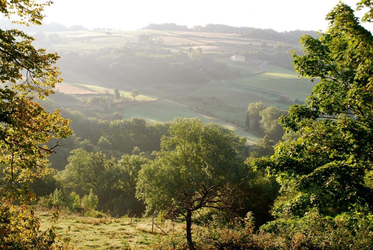 Gites Le Chene & Le Tilleul Saint-Romain-de-Lerps Habitación foto